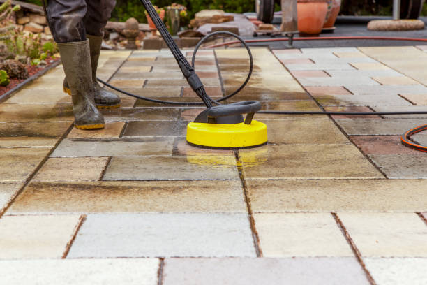 Best Pre-Holiday Cleaning  in Little Flock, AR