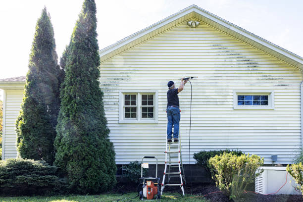 Best Roof Washing  in Little Flock, AR