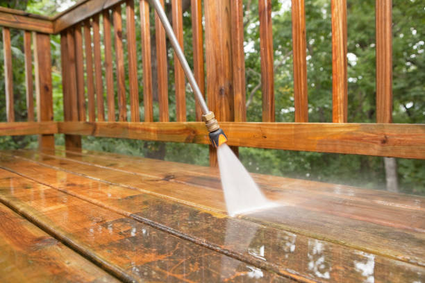 Best Solar Panel Cleaning  in Little Flock, AR
